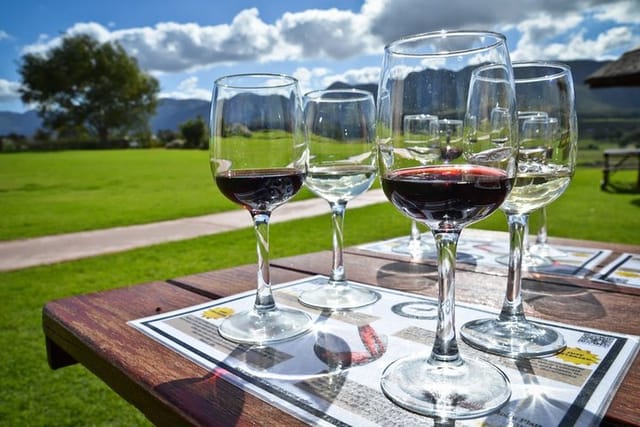 Full day Cape Winelands ( Stellenbosch and Franschoek ) - Photo 1 of 6